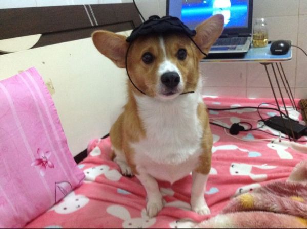 QQ图片20140706164104.jpg