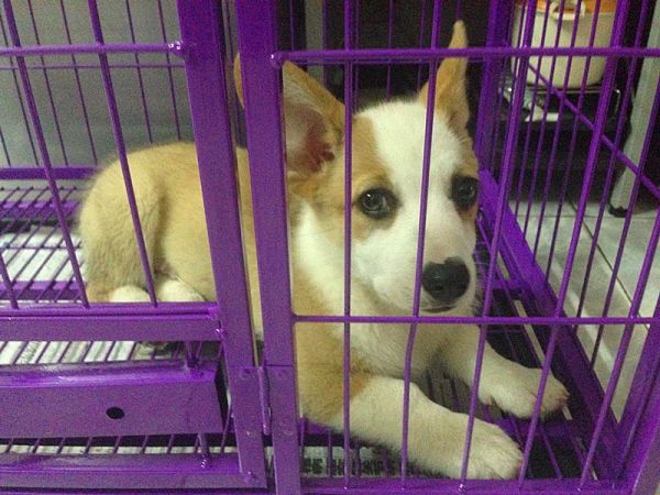 我是影帝我怕谁，看到眼中的泪水没！