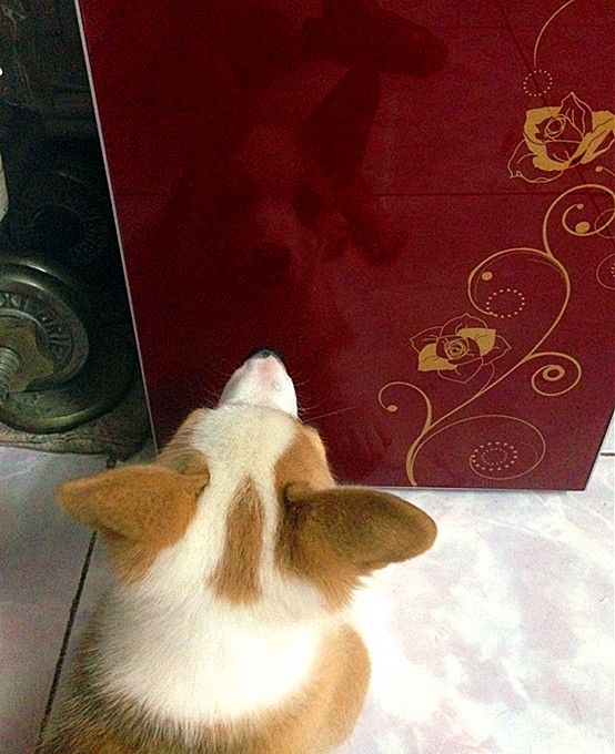 所有的反光物都要照上半天