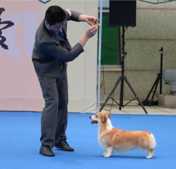 QQ图片20140701101039.jpg