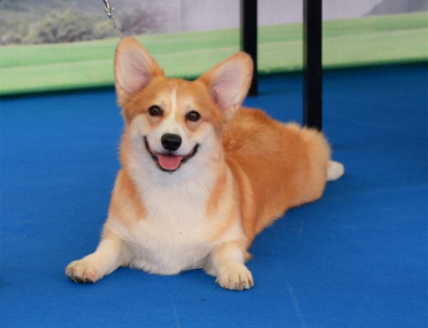 DSC_2002_副本_副本.jpg