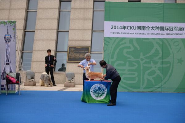QQ图片20140701102244.jpg