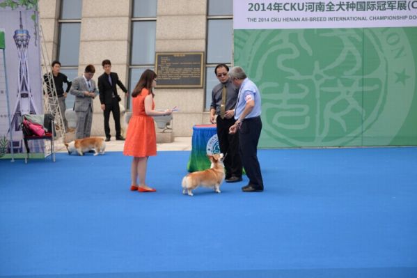 QQ图片20140701102310.jpg
