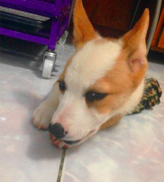 要用眼神杀死我。。。