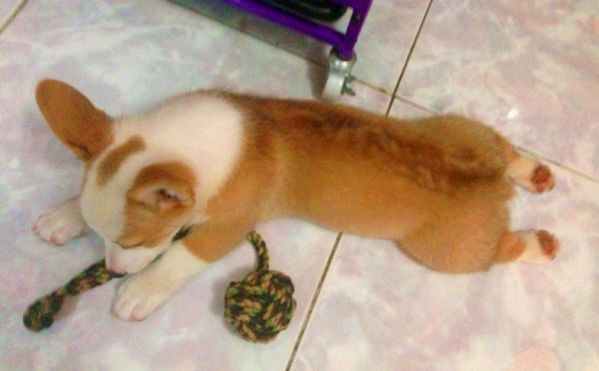 好吧，那你玩吧。不管你了