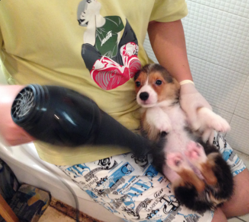QQ截图20140702095019.png