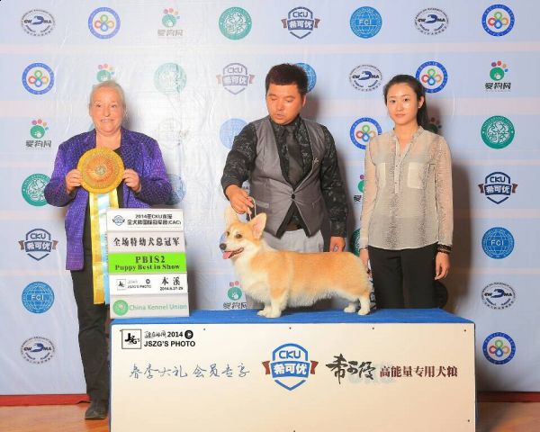QQ图片20140707173823.jpg