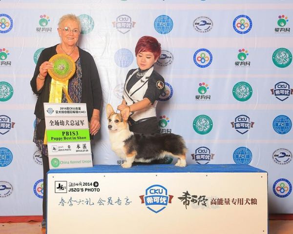 QQ图片20140707173453.jpg