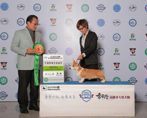 QQ图片20140707173517.jpg