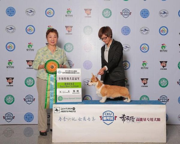 QQ图片20140707173541.jpg