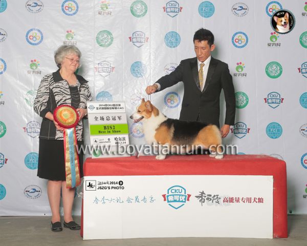 003 2014-7月 CKU哈尔滨BIS2.jpg