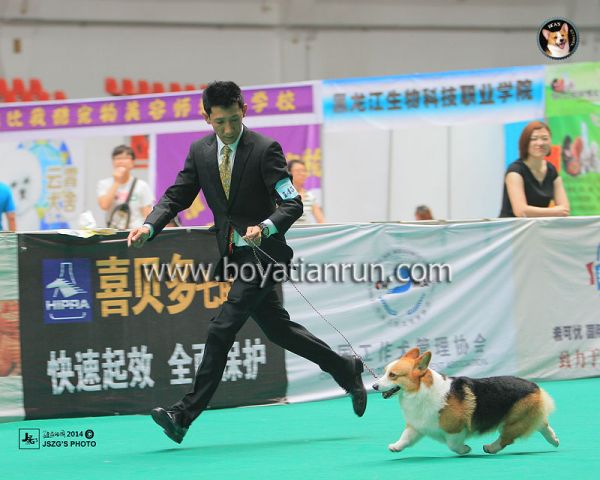 004 2014-7月 CKU哈尔滨赛场.jpg