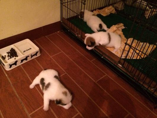 QQ截图20140717210600.jpg