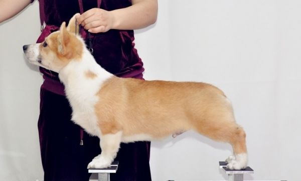 image.jpg