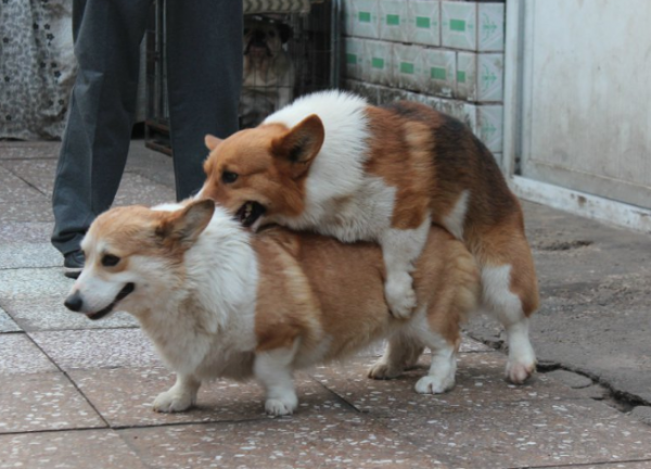 QQ截图20140724105204.png