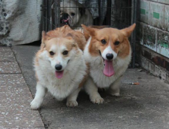 QQ截图20140724105250.png