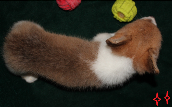 QQ截图20140724113729.png