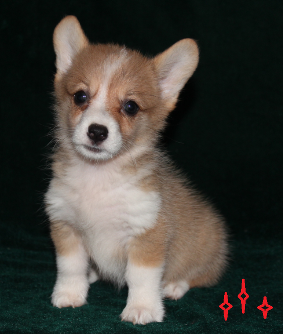 QQ截图20140724112201.png
