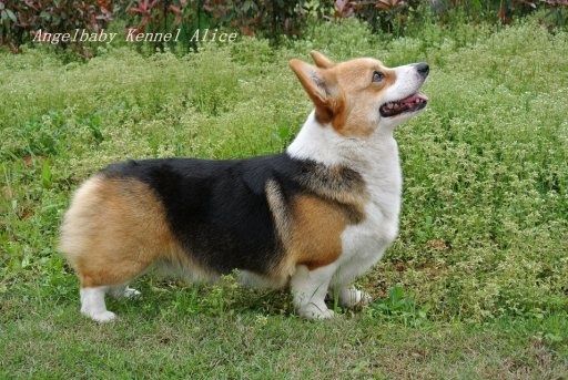 image.jpg
