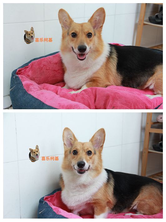喜乐美眉!