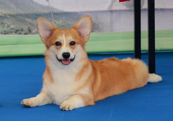 DSC_1998_副本.jpg