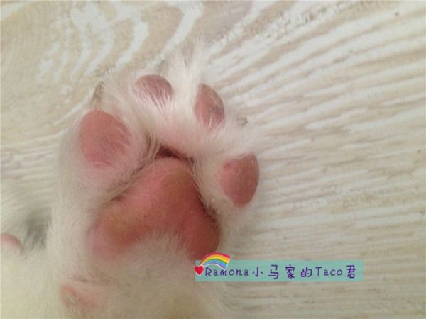 我是百度君！！