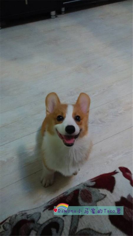 刚来到新家的晚上