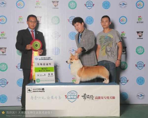 201409231.jpg