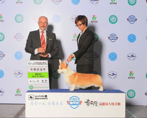 20140923.jpg