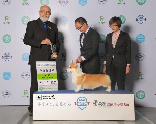 201409230.jpg