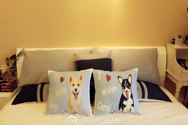 QQ图片20140928105821.jpg