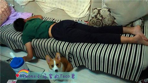 粑粑睡得好香，我要陪着他。