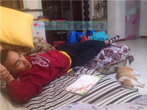 我们都爱睡觉。