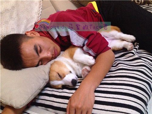 这样最舒服了，粑粑我爱你