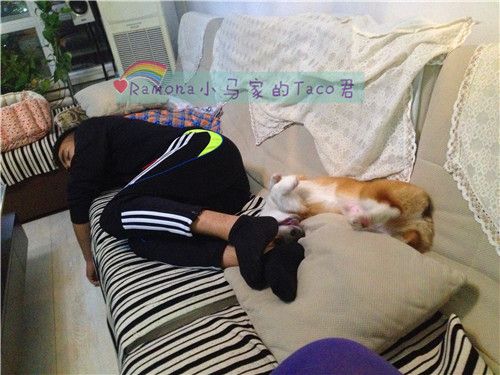 我们姿势是不是很像。