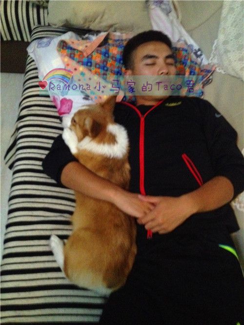 睡倒在粑粑的怀里