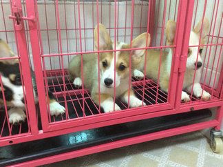 IMG_1054_副本_副本.JPG
