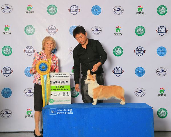 2014-9月 beauty CKU济南PBIS2.jpg