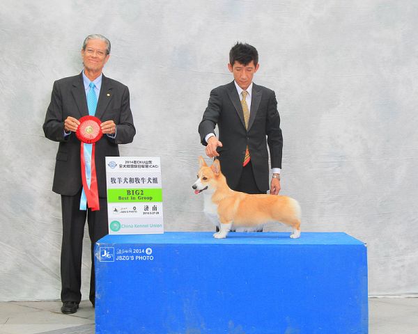 2014-9月 小龙女　CKU济南G2 A.jpg