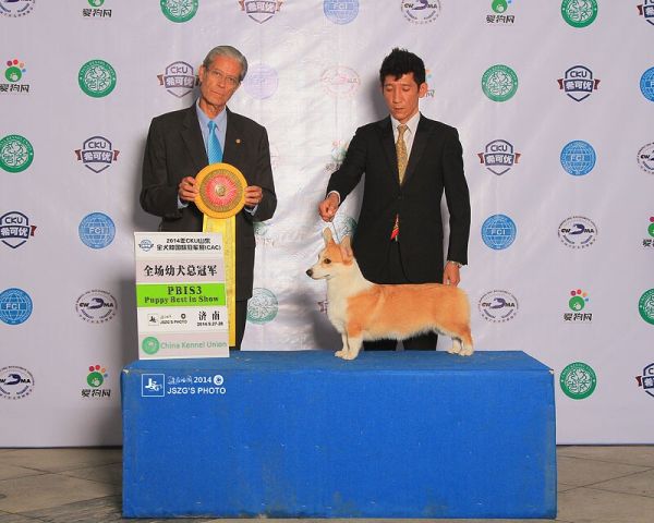201410014.jpg