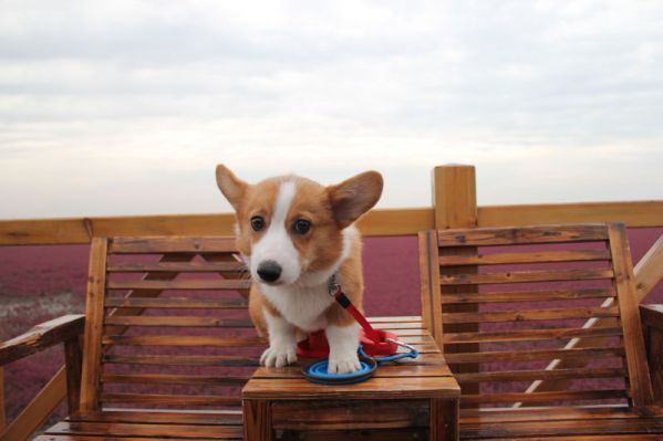 为什么好多人都在照我，怕怕。