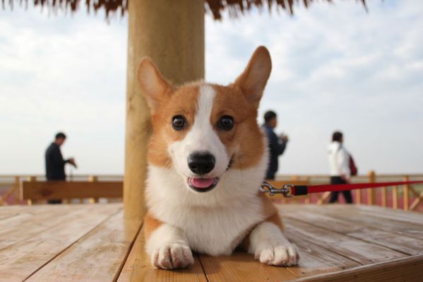 给大家乐一个，好开心。