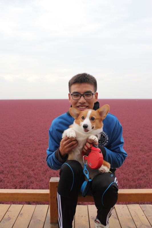 和把拔一起欣赏美景。