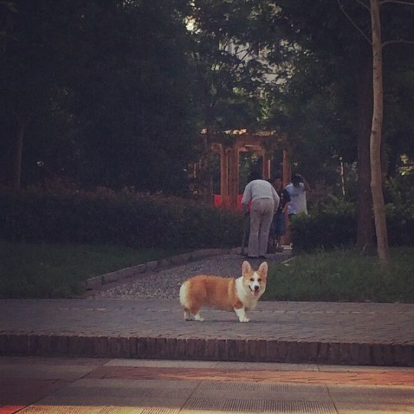 广场抓拍