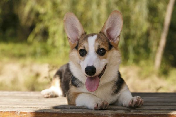 大家都说我的眼睛炯炯有神的