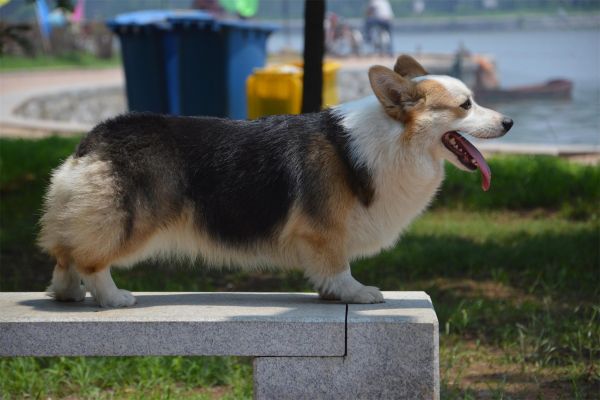 QQ图片20140701205808.jpg