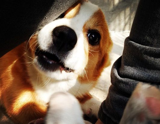 哈哈，闪掉你的眼