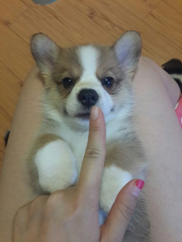 幼儿时期的我O(∩_∩)O~