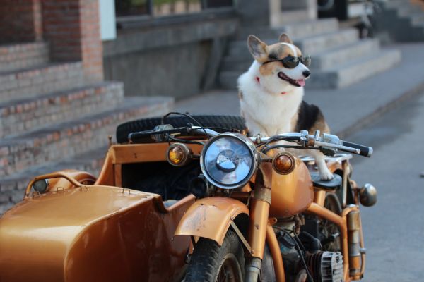 IMG_7331_meitu_4.jpg