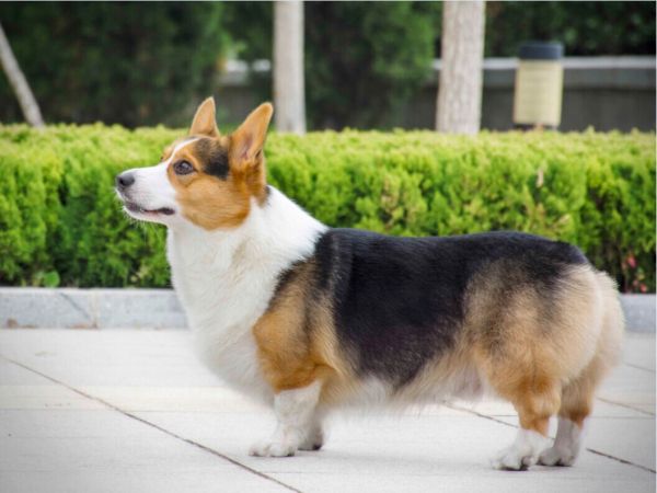 哦，这就是大学校园啊